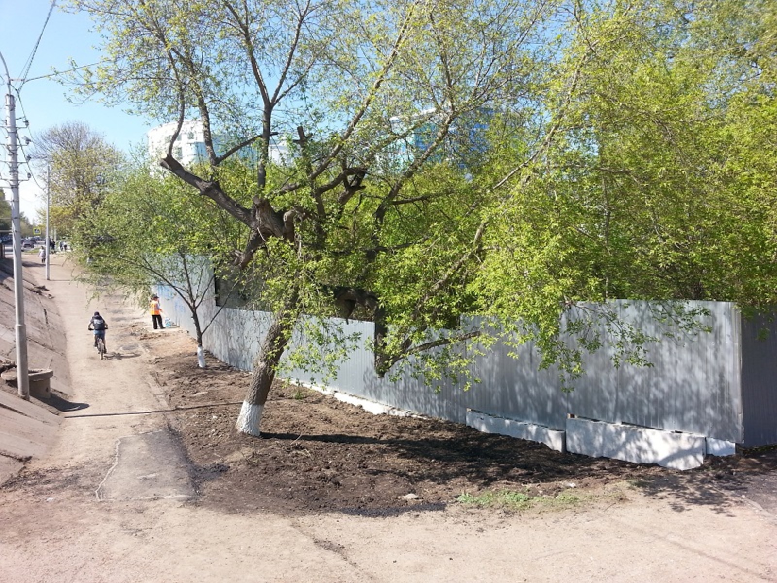 Фото автора.