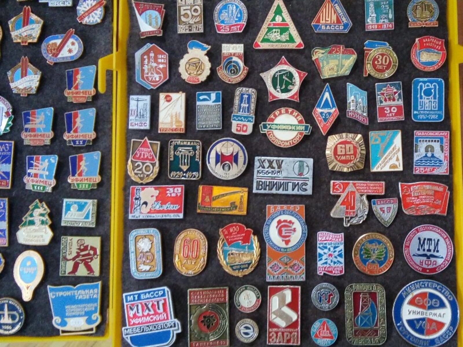 Фото автора.