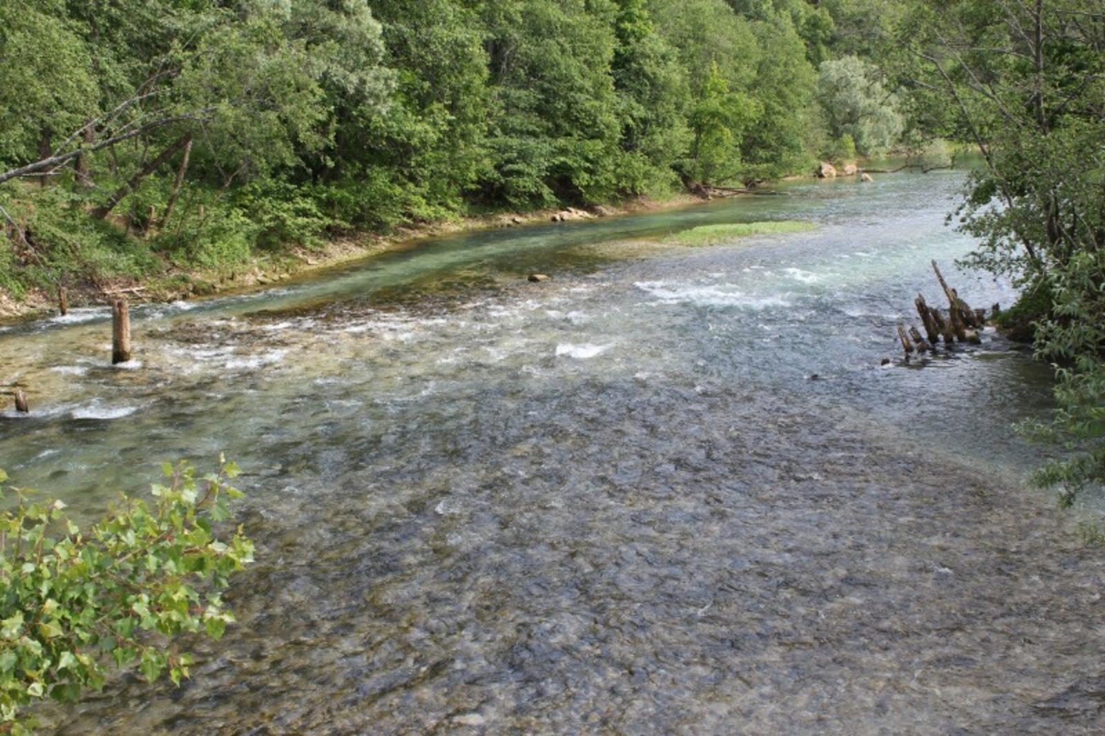 Дарьи Святохиной.