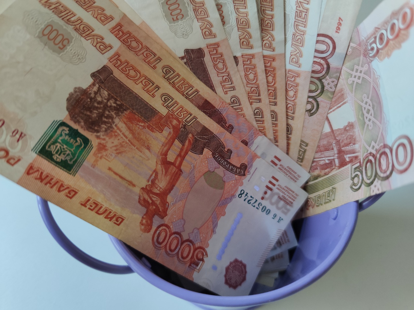 Дарьи Святохиной.