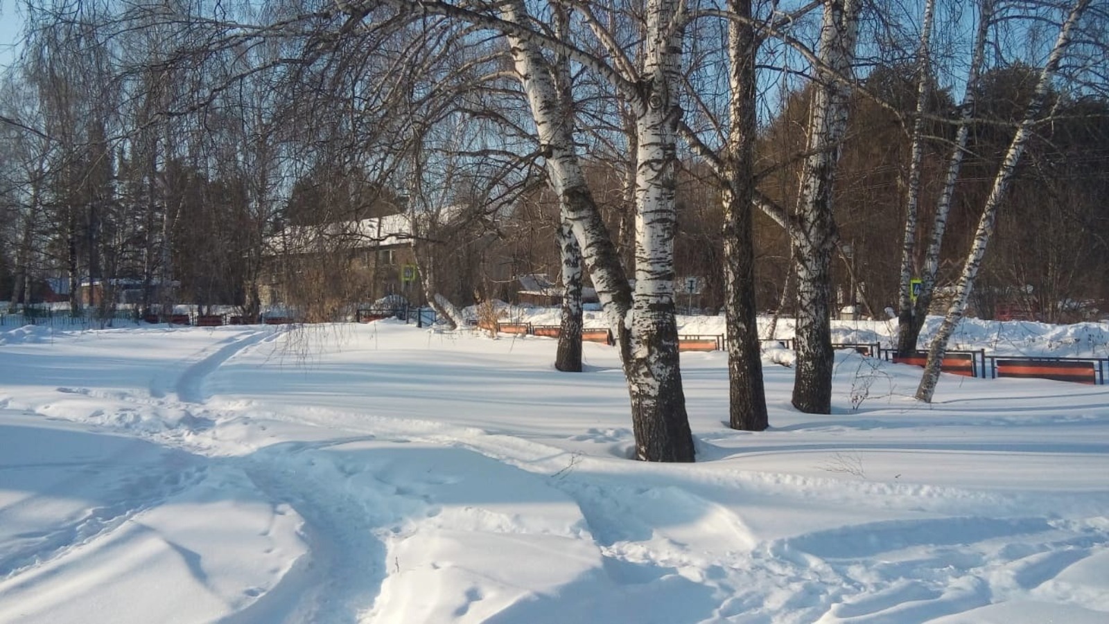 Евгении Сюткиной.