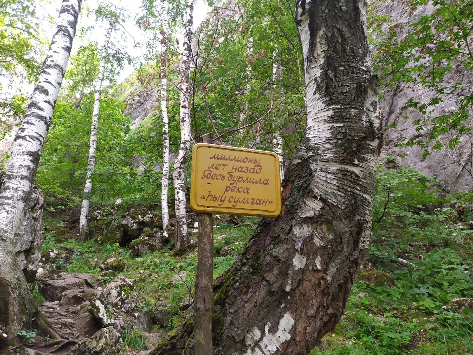 Васили Саитовой.