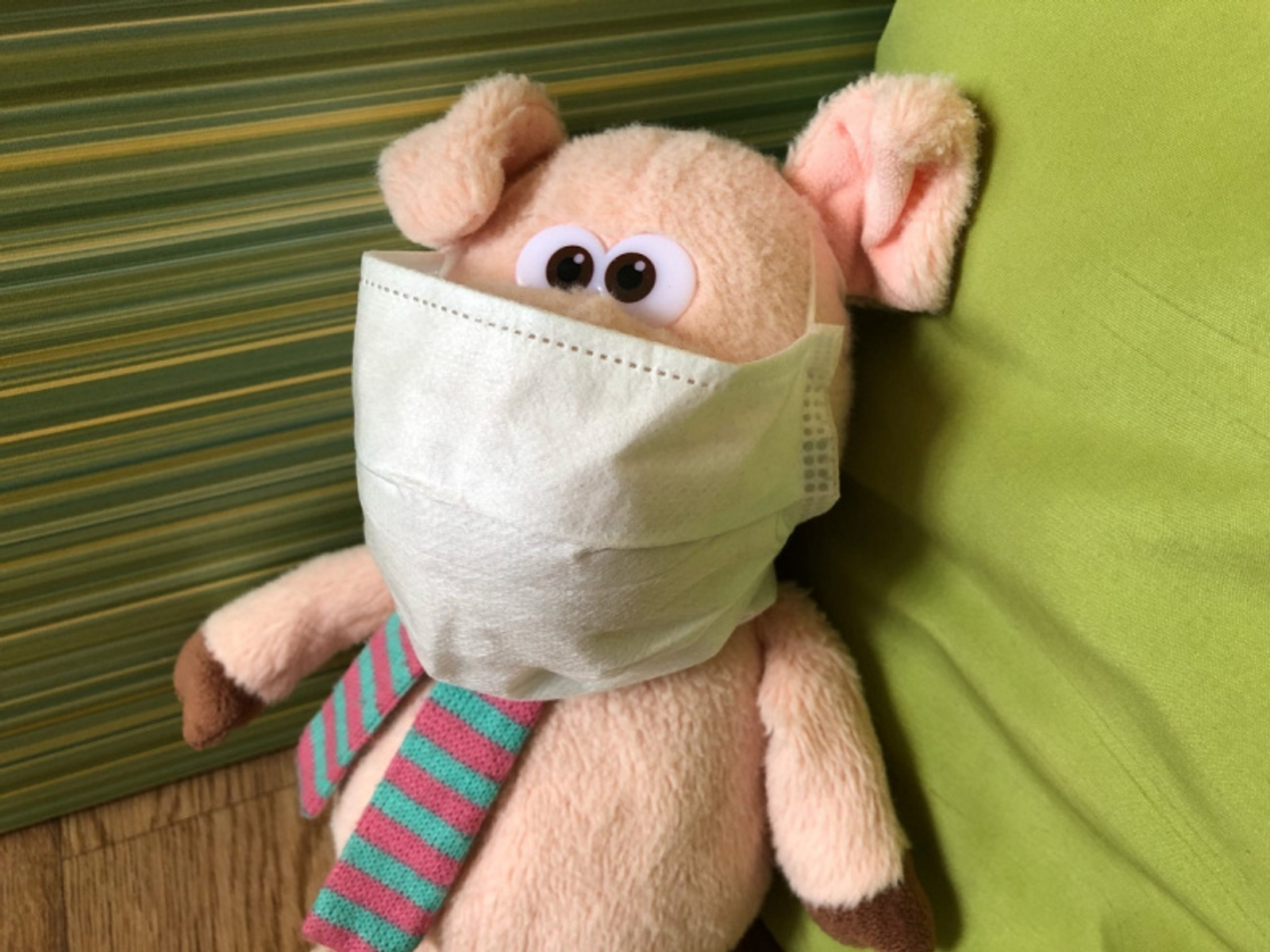 Фото автора.