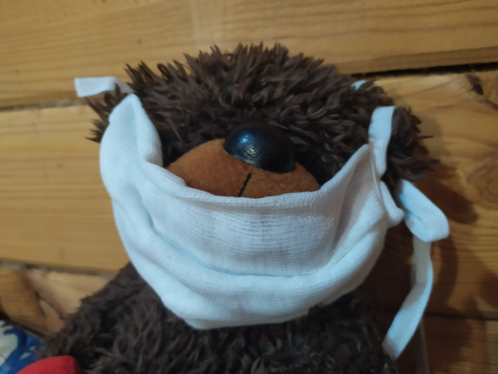 Фото Васили Саитовой.