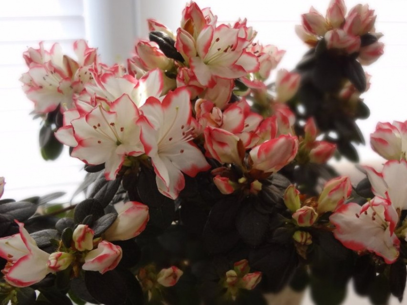 Фото Васили Саитовой.