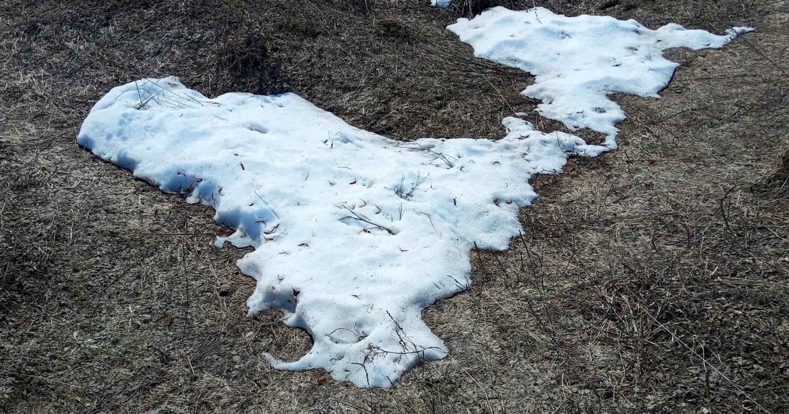 Евгении Сюткиной. «Общественная электронная газета».