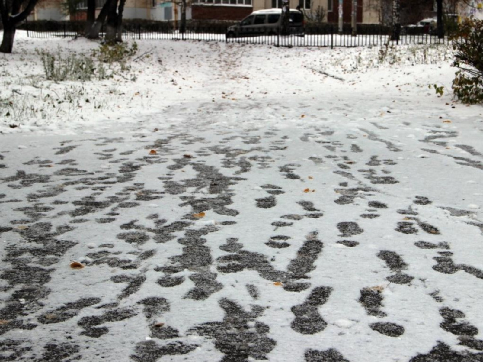 Фото Олега Яровикова.