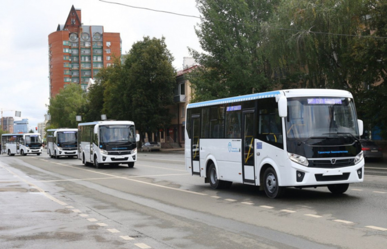 Фото Олега Яровикова.