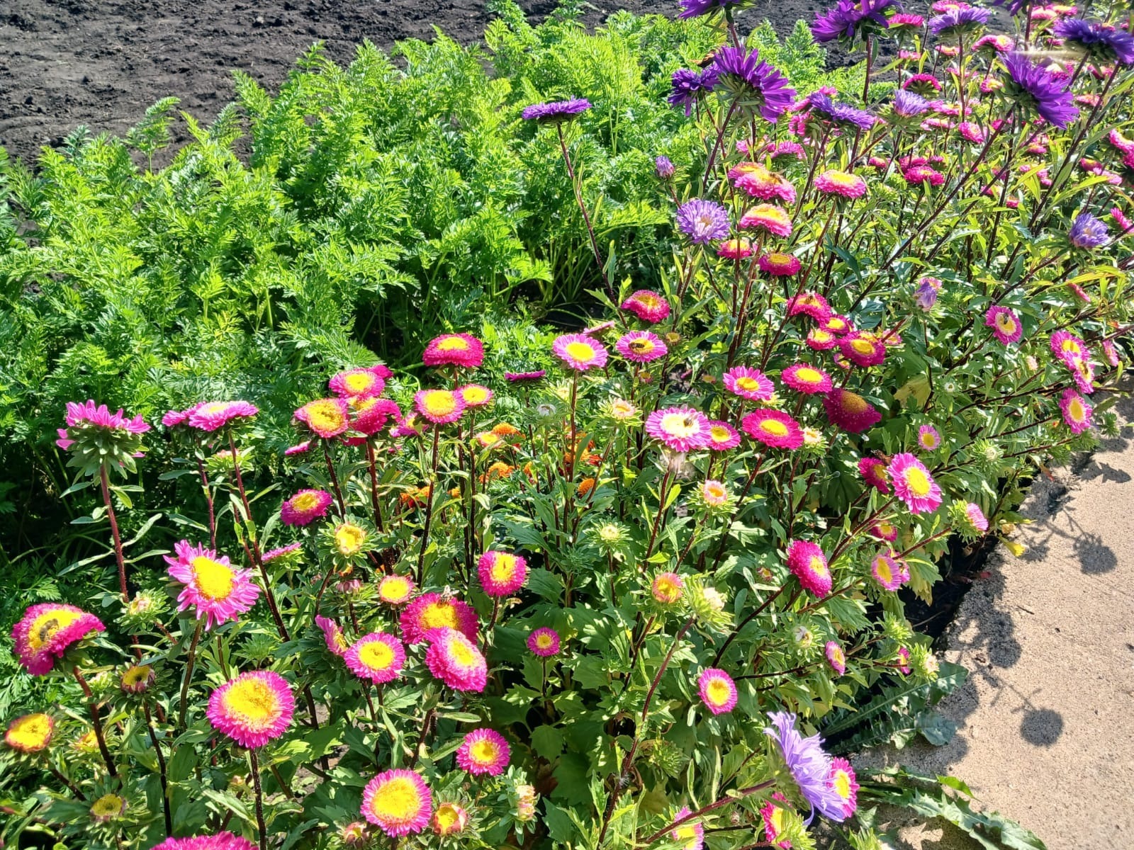 Васили Саитовой.