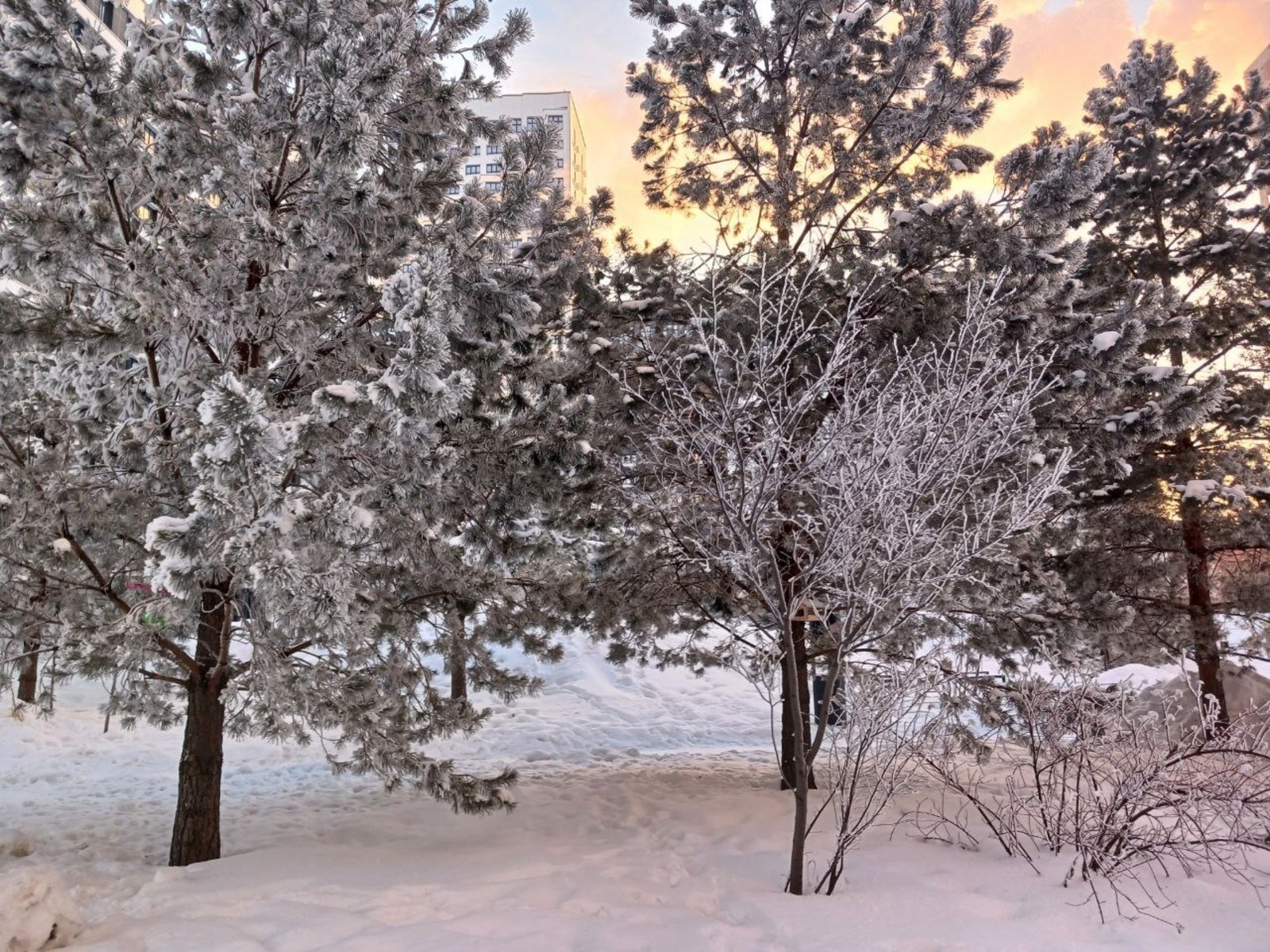 Васили Саитовой. «Общественная электронная газета».