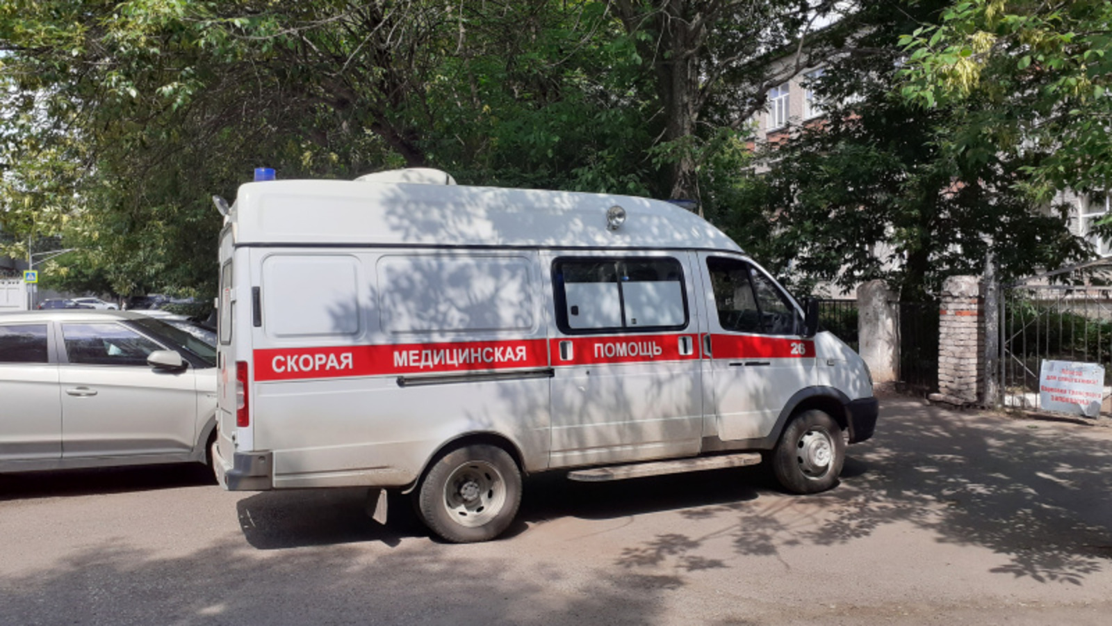 Фото автора.