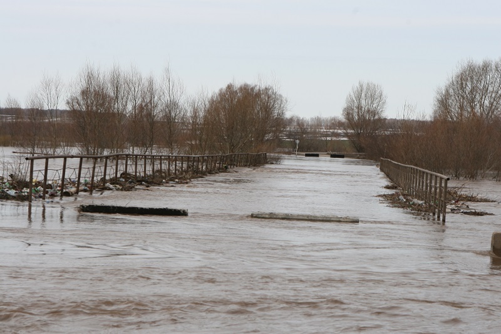 Фото Олега Яровикова.