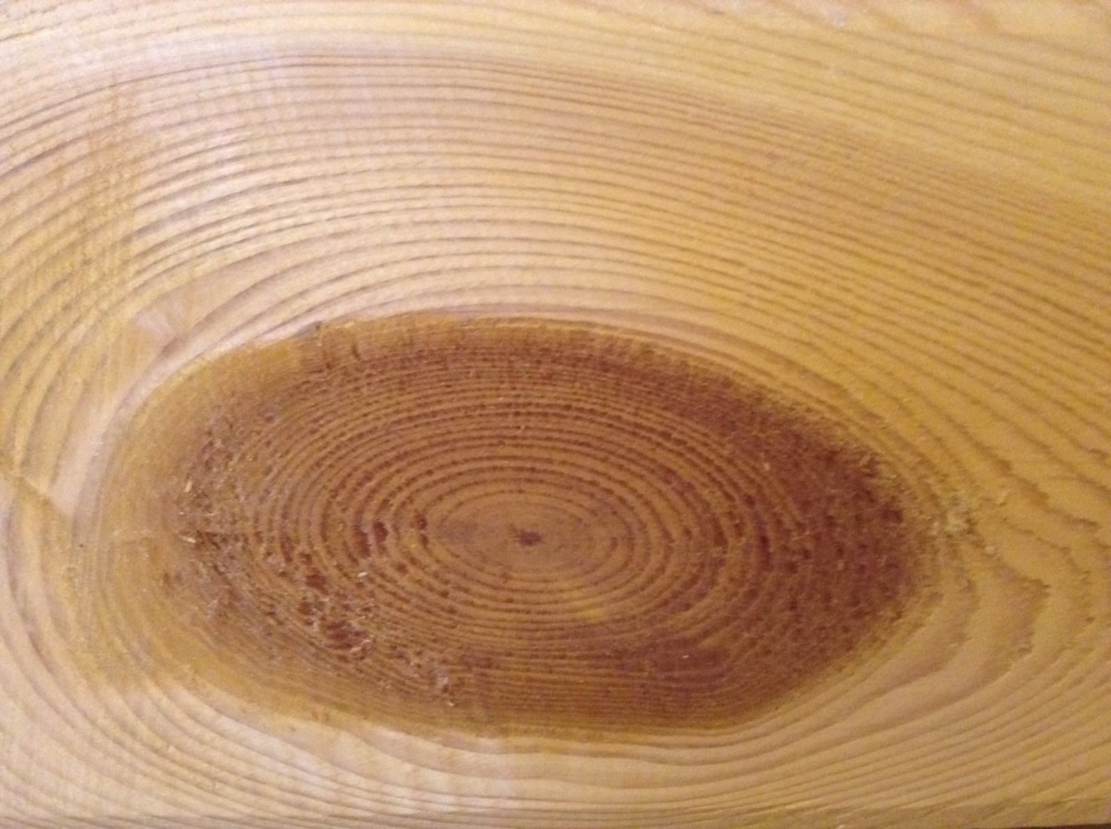 Фото Васили Саитовой.