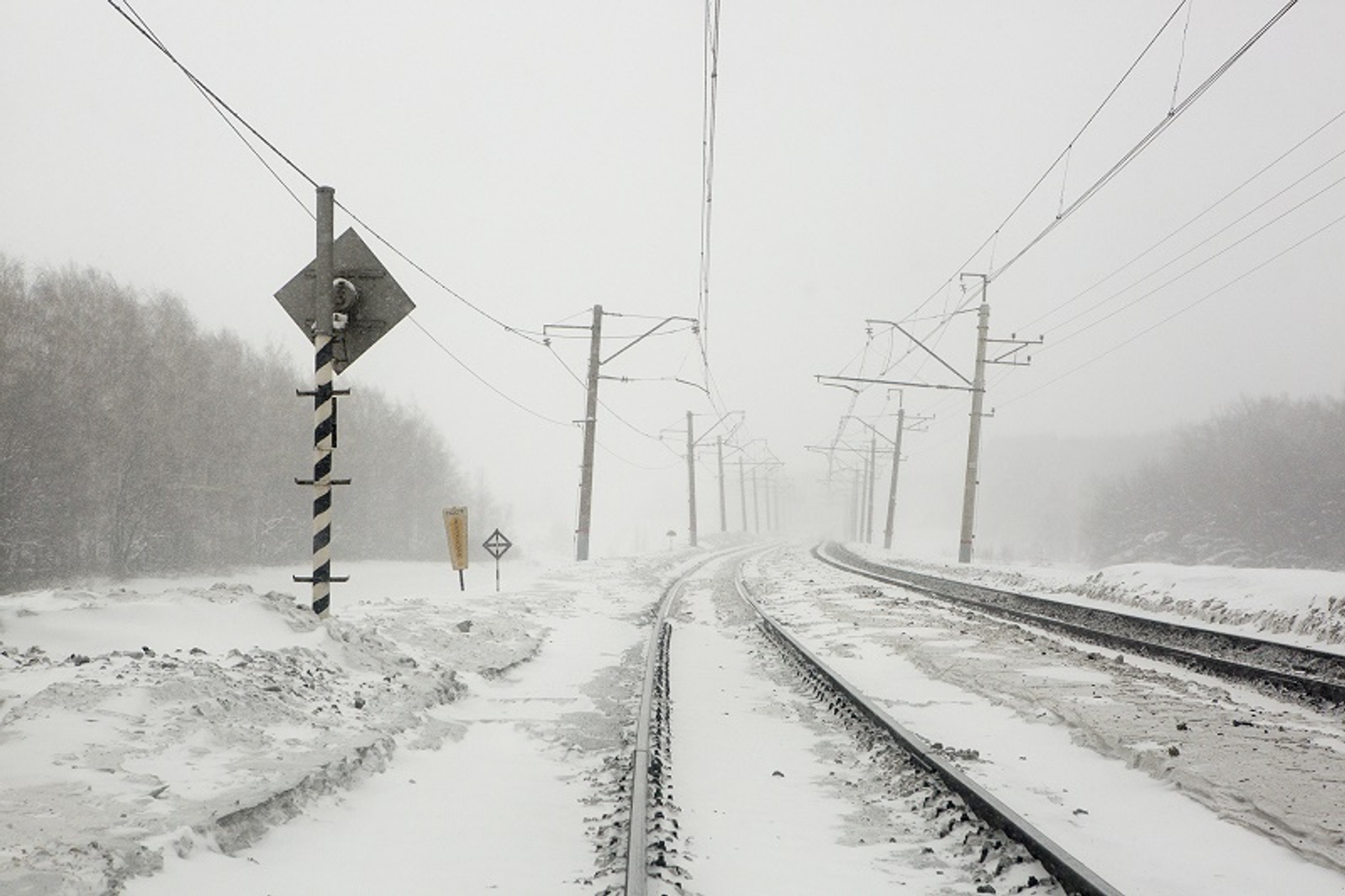 Фото Фаиля Абсатарова.