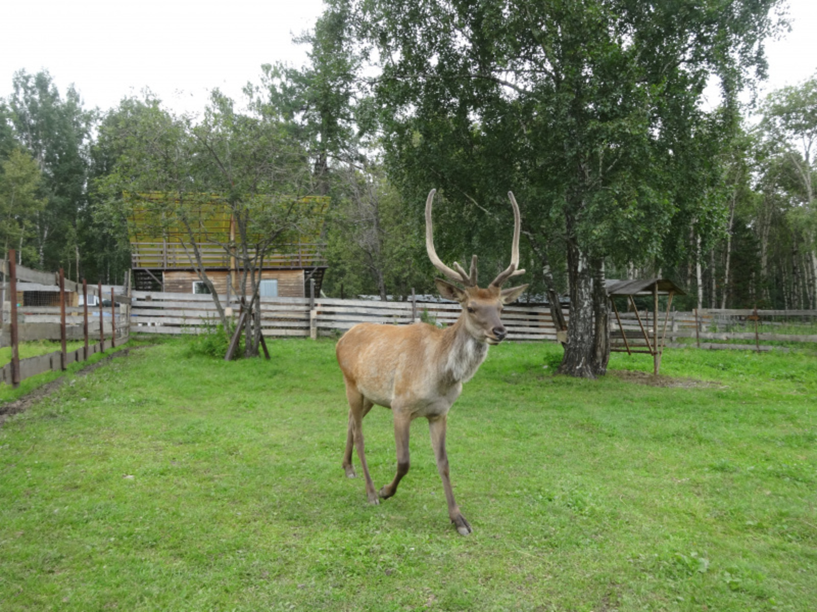 Фото автора.