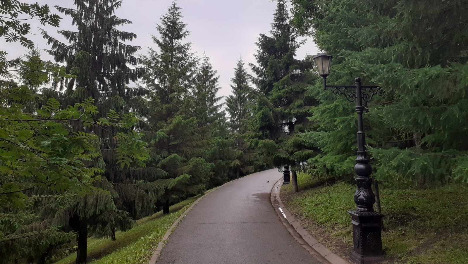 Владимира Шакиева.