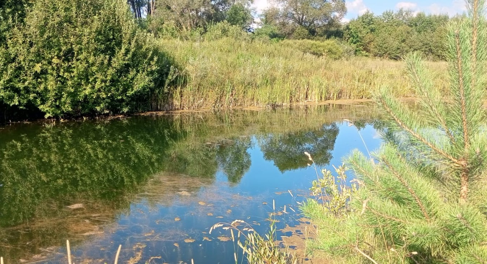 Евгении Сюткиной.