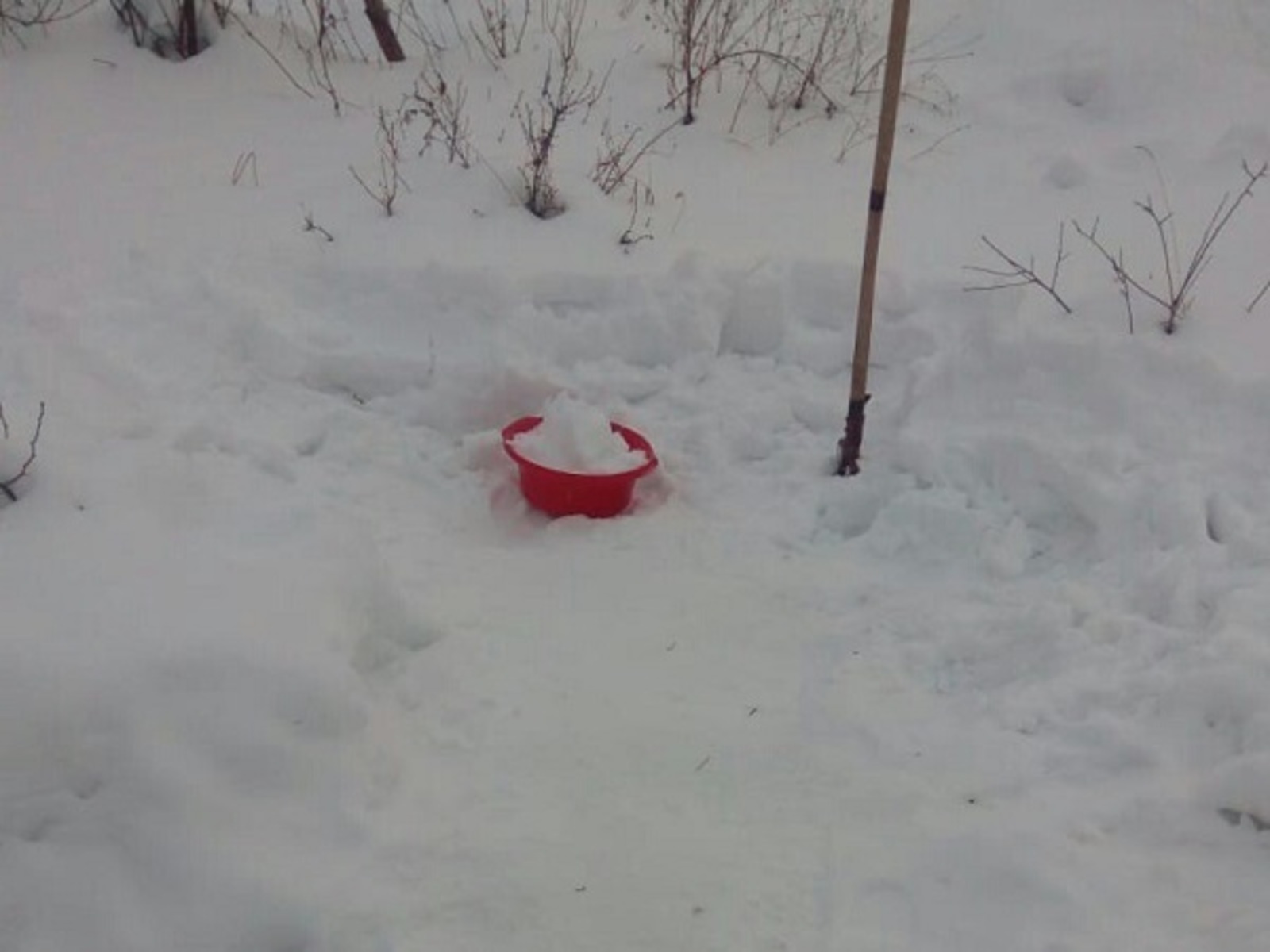 Фото предоставлено жителями.