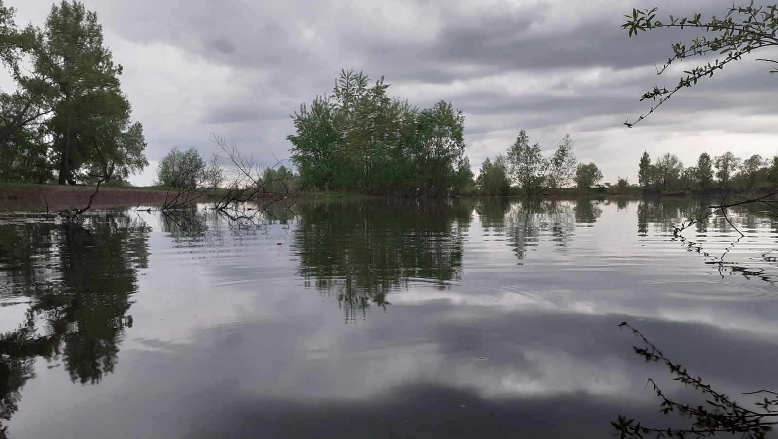 Владимира Шакиева.