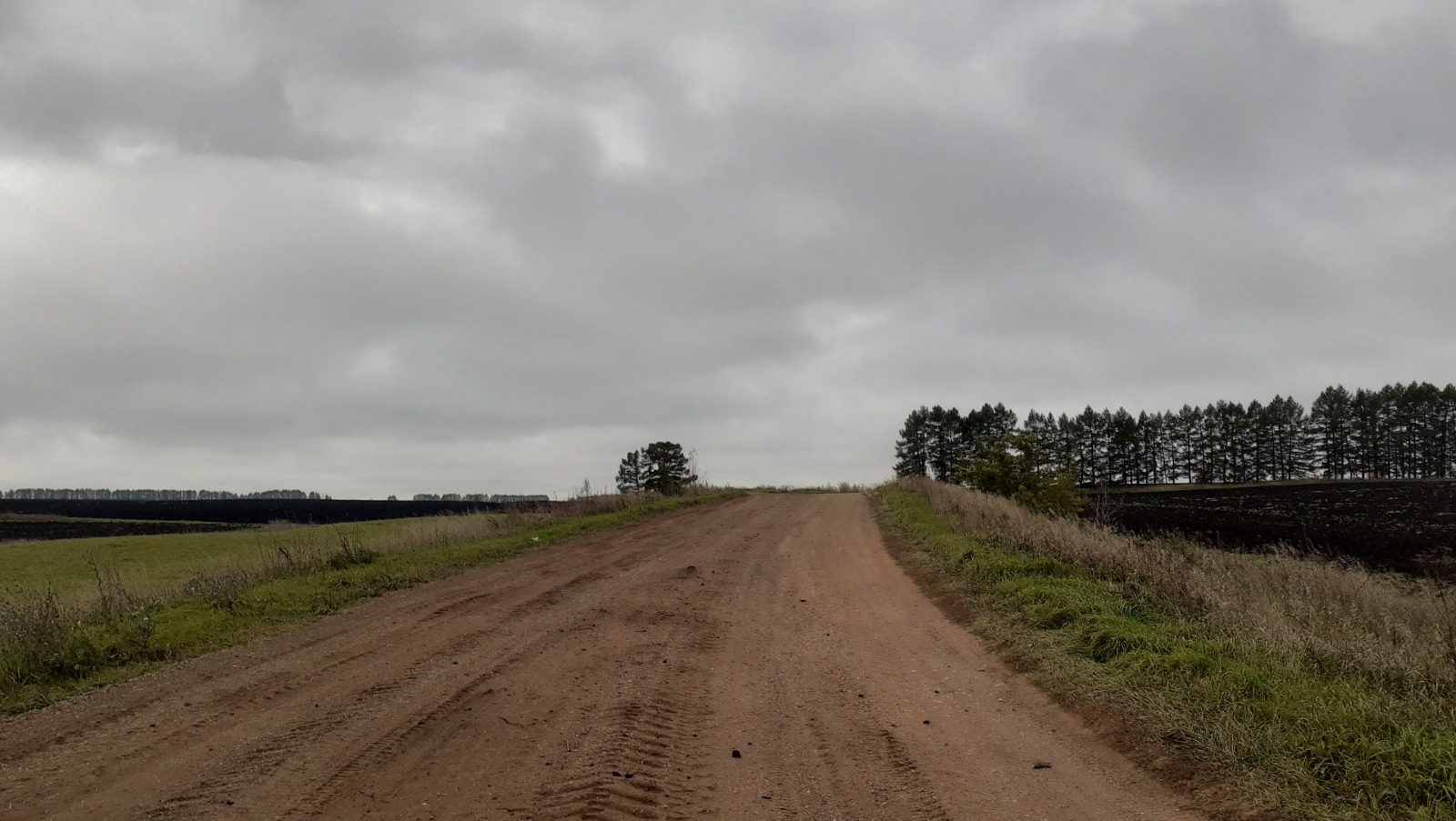 Владимира Шакиева.