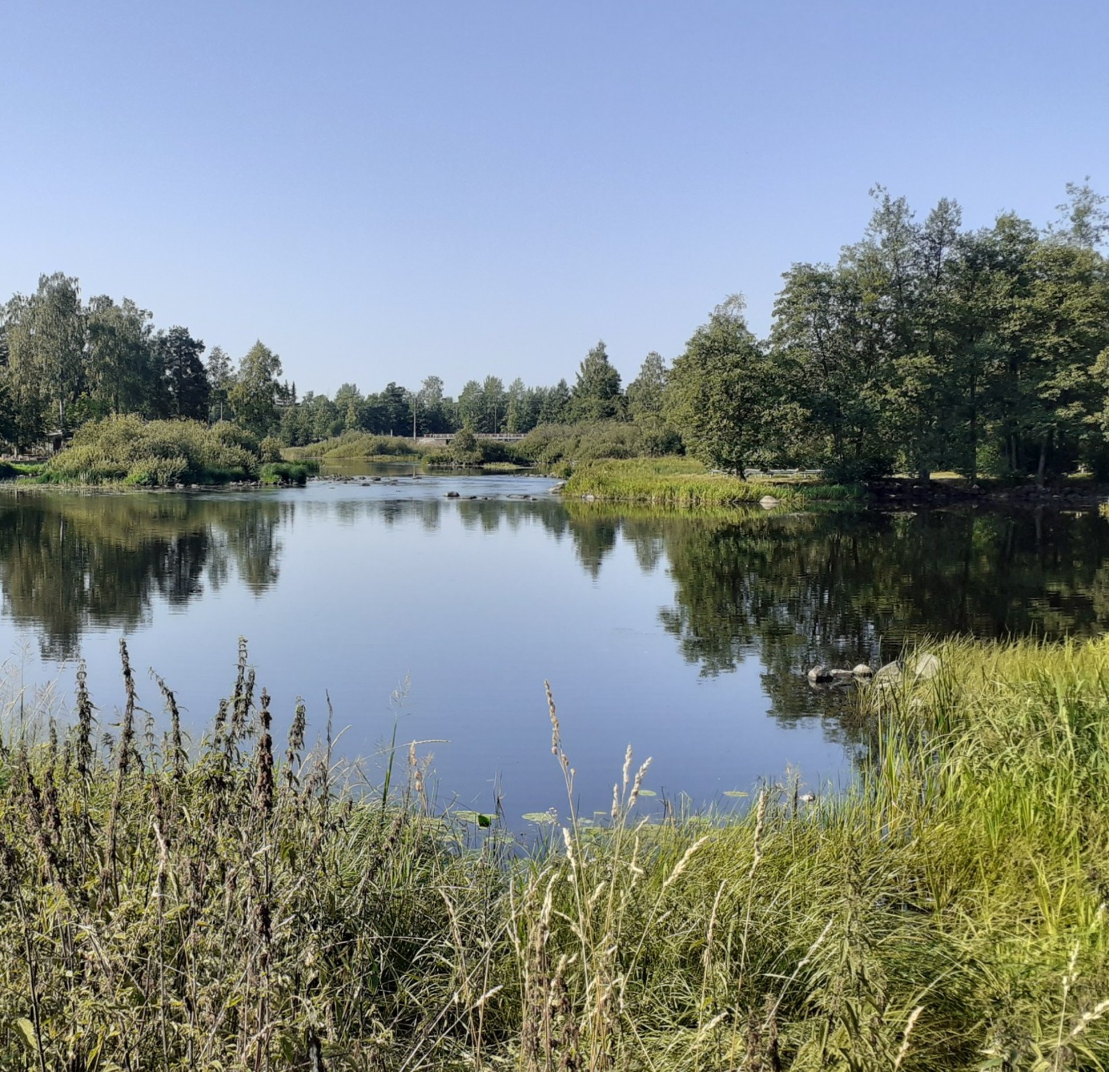 Владимира Шакиева.