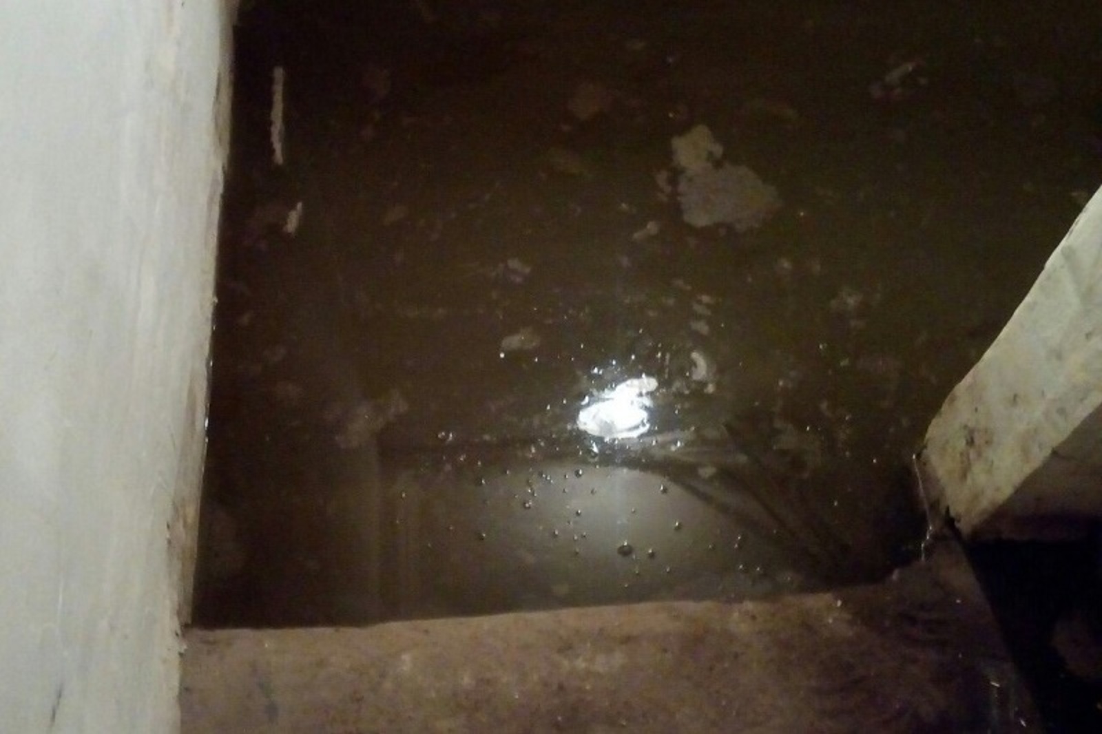 Фото предоставлено Вероникой Мюллер.