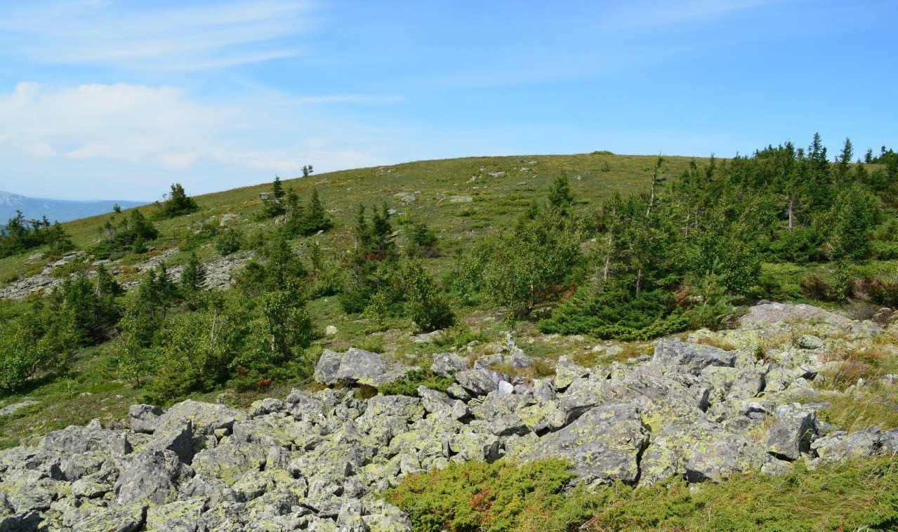 Владимира Шакиева.