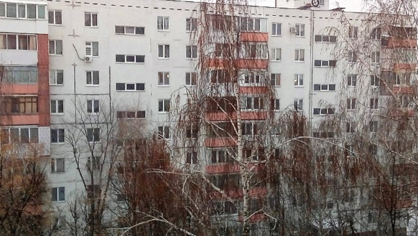 Евгении Сюткиной.