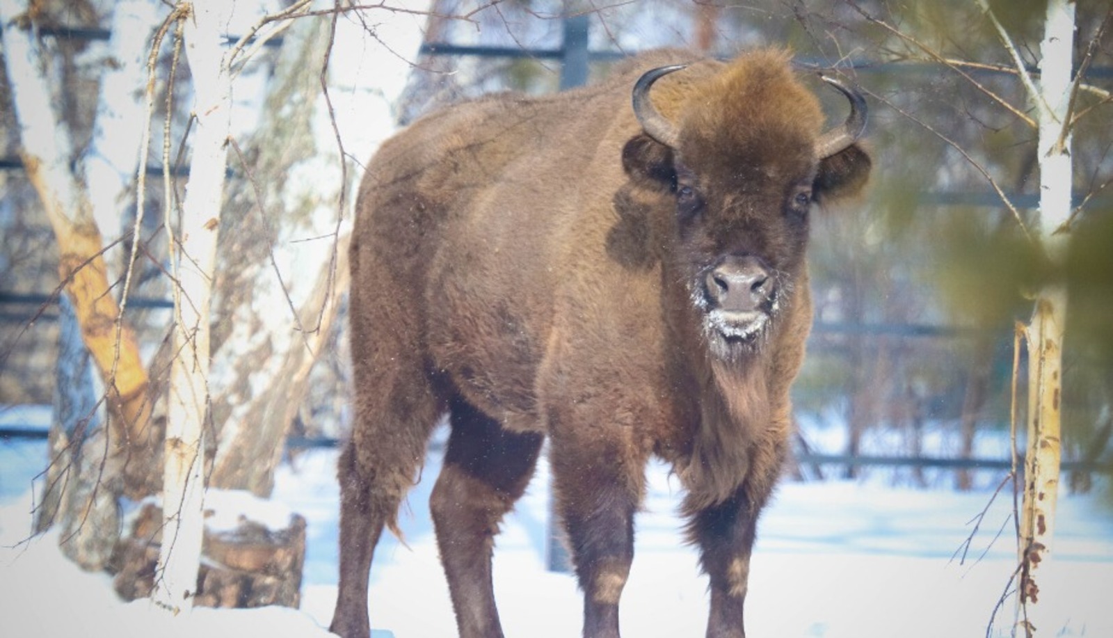 ИА «Башинформ». ИА «Башинформ».