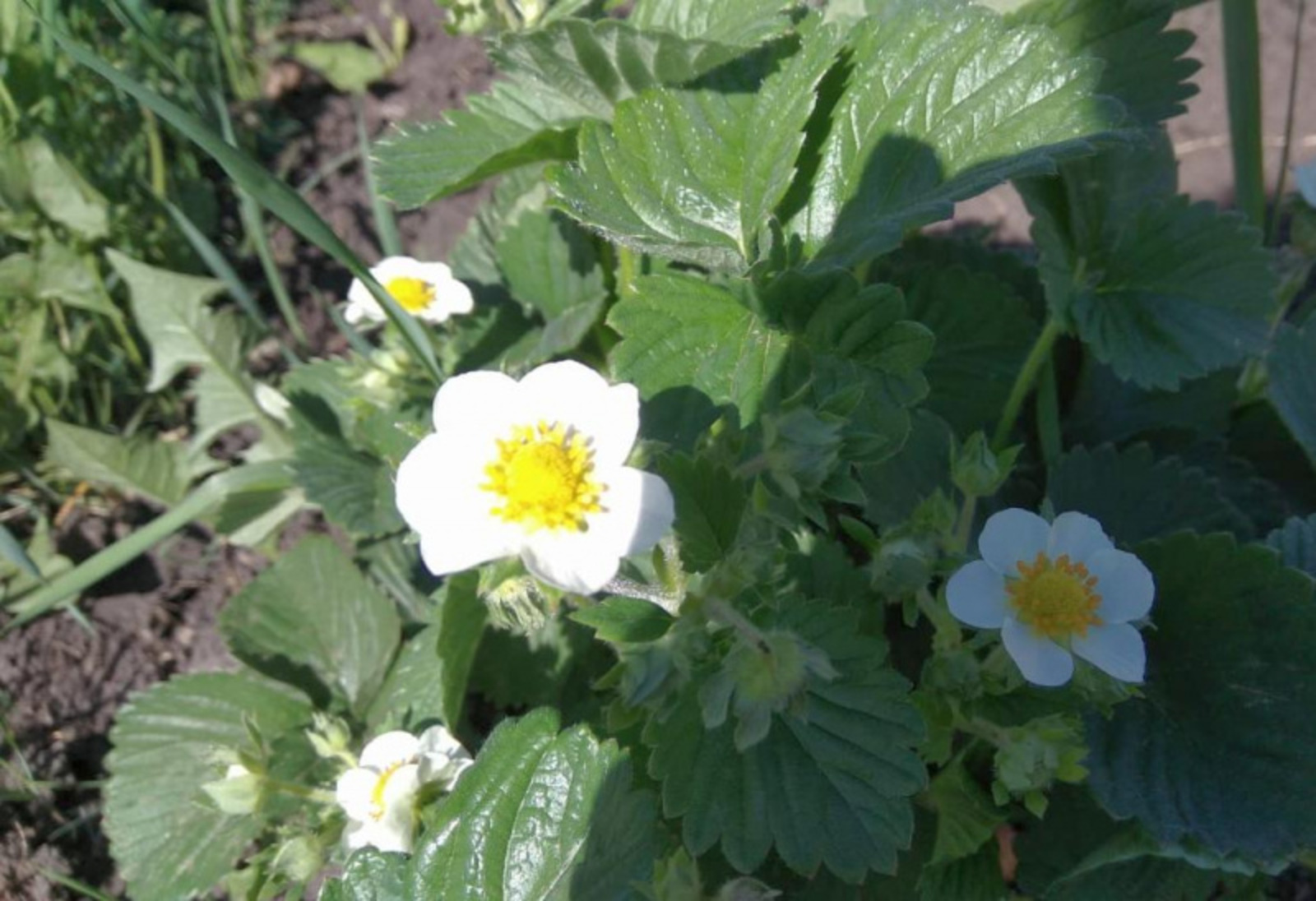 Фото Васили Саитовой.