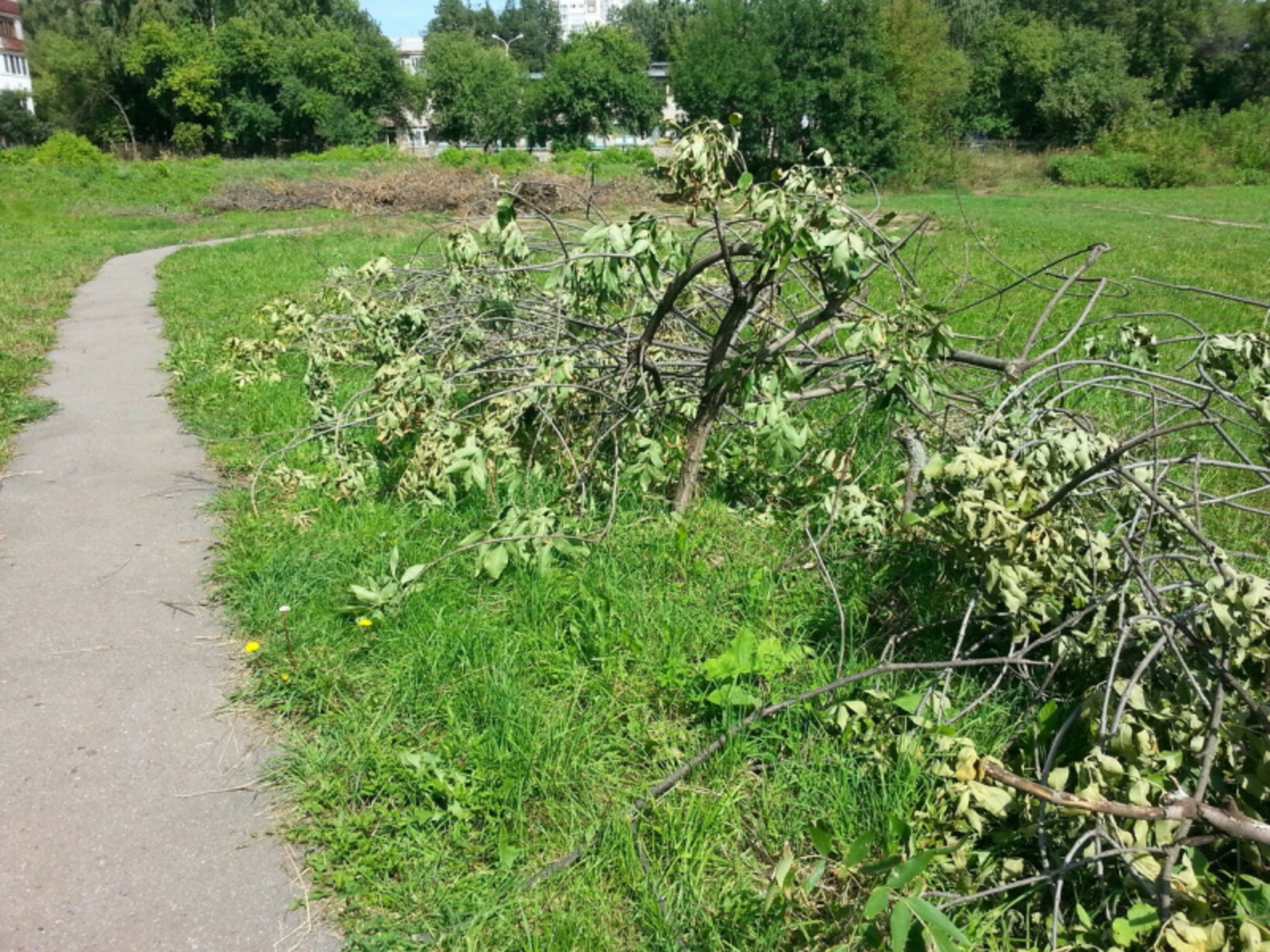 Фото автора.