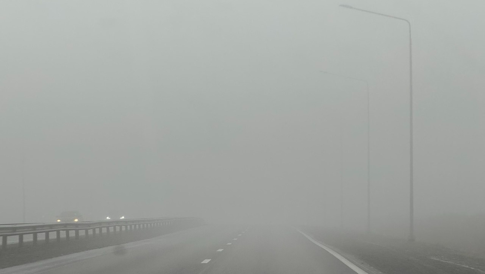 Елены Колоколовой.  «Общественная электронная газета».