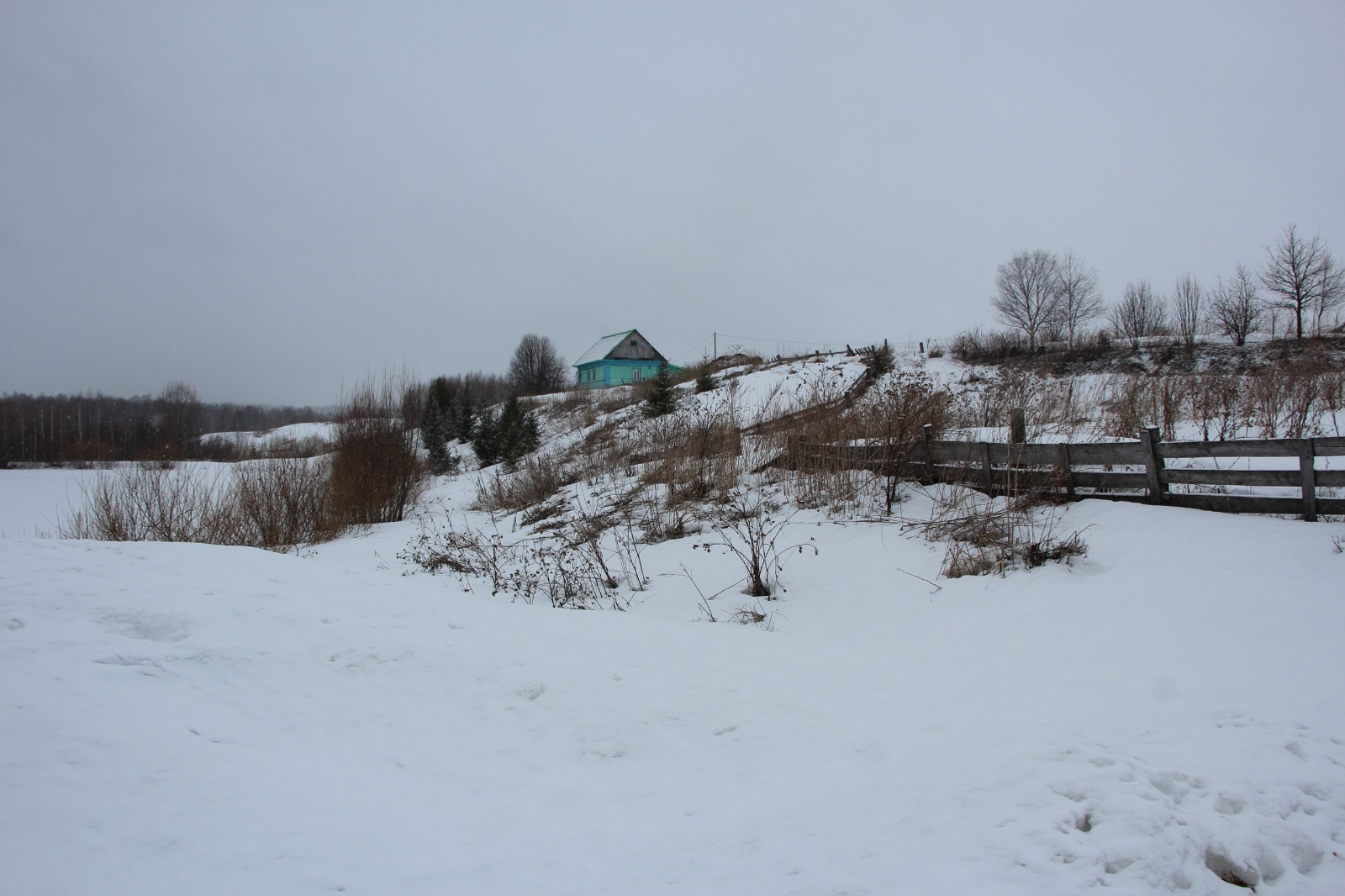 Евгении Сюткиной. «Общественная электронная газета».