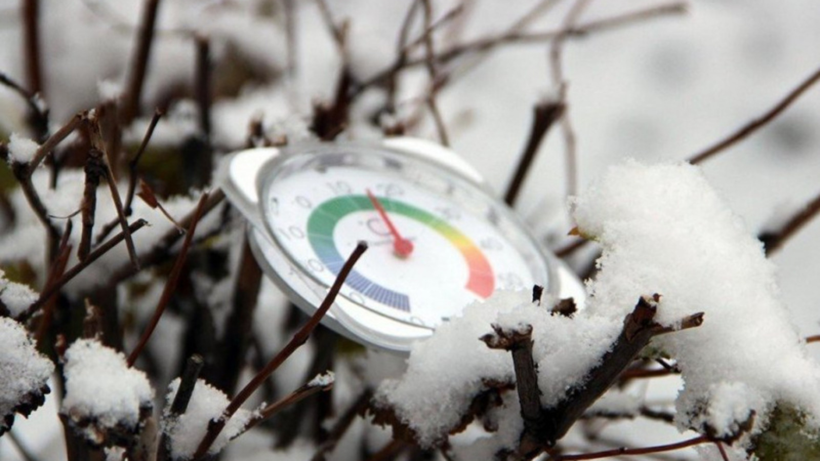 Фото Олега Яровикова.