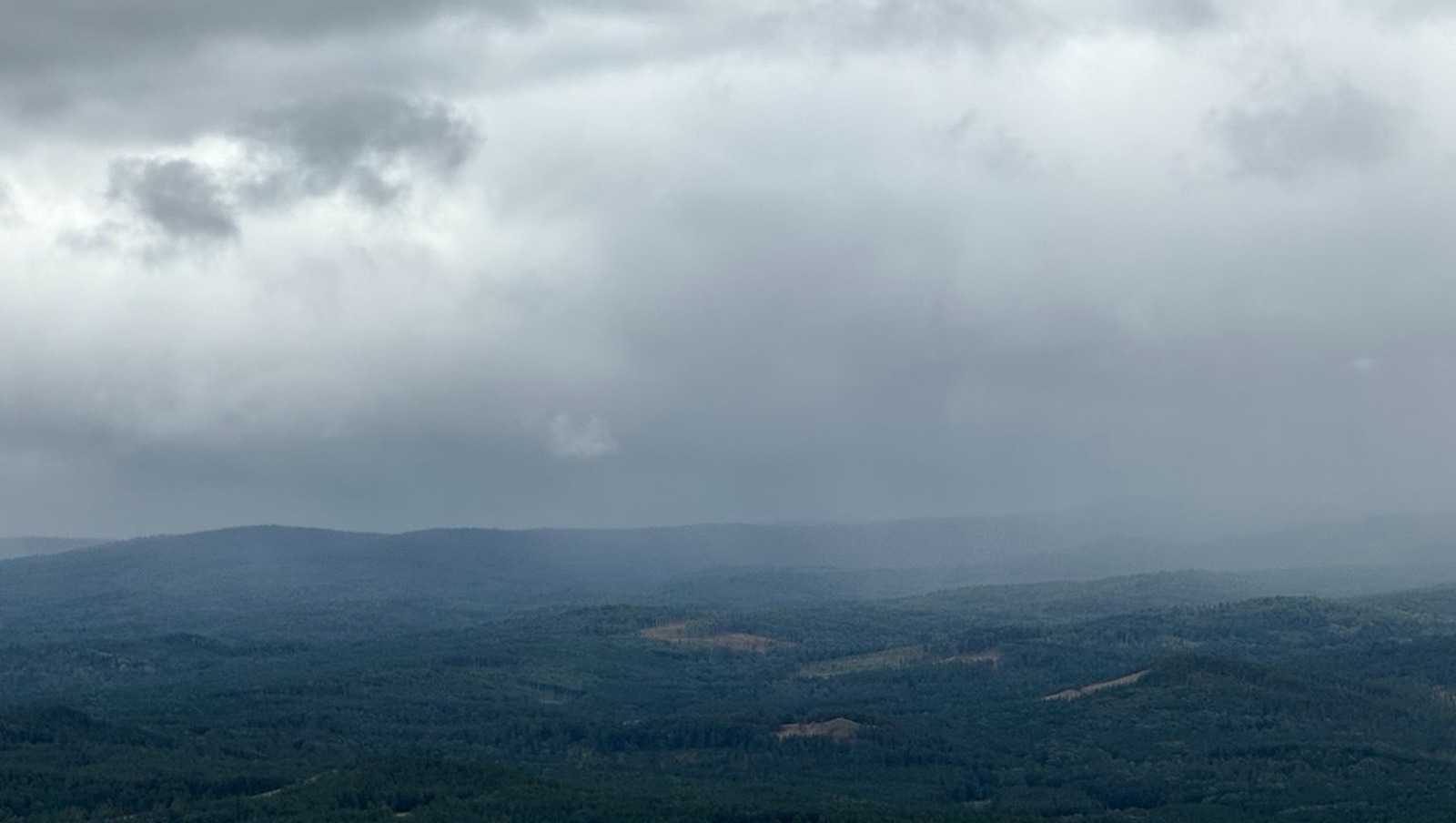 Елены Колоколовой.