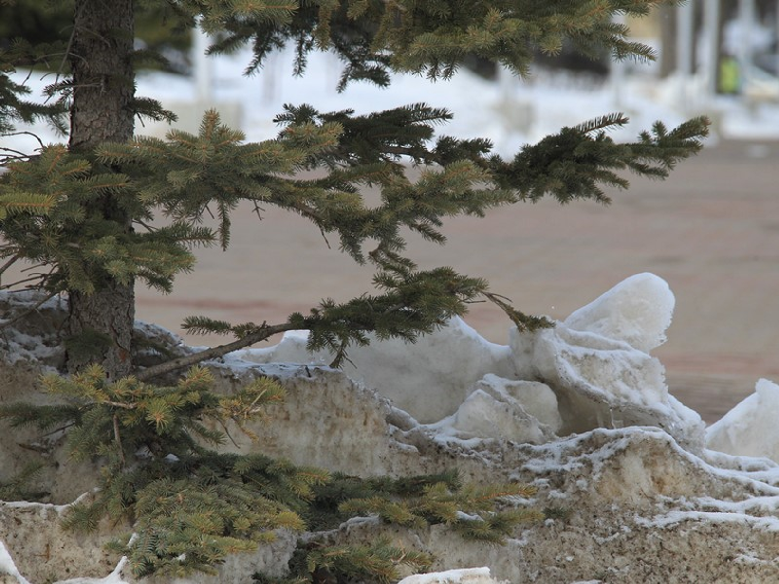 Фото Олега Яровикова.