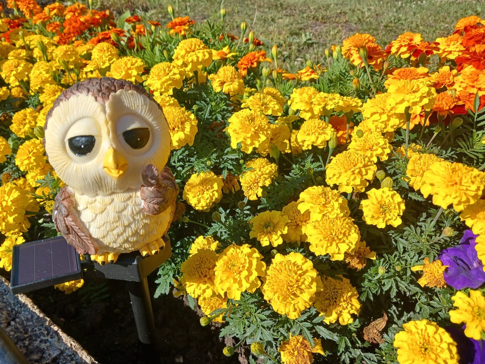 Васили Саитовой.