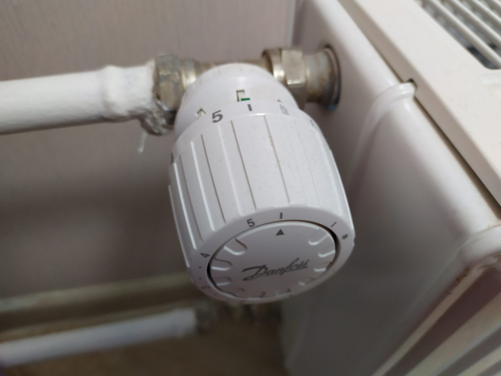 Фото Васили Саитовой.