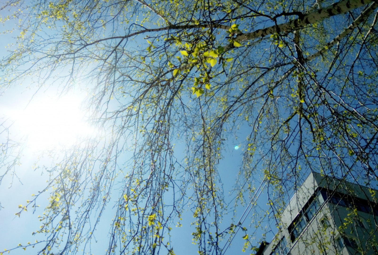 Фото Васили Саитовой.