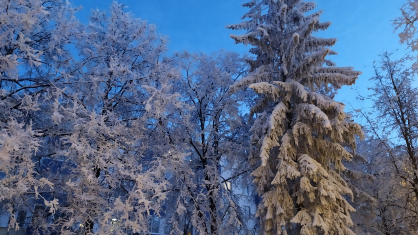 Фото Васили Саитовой.