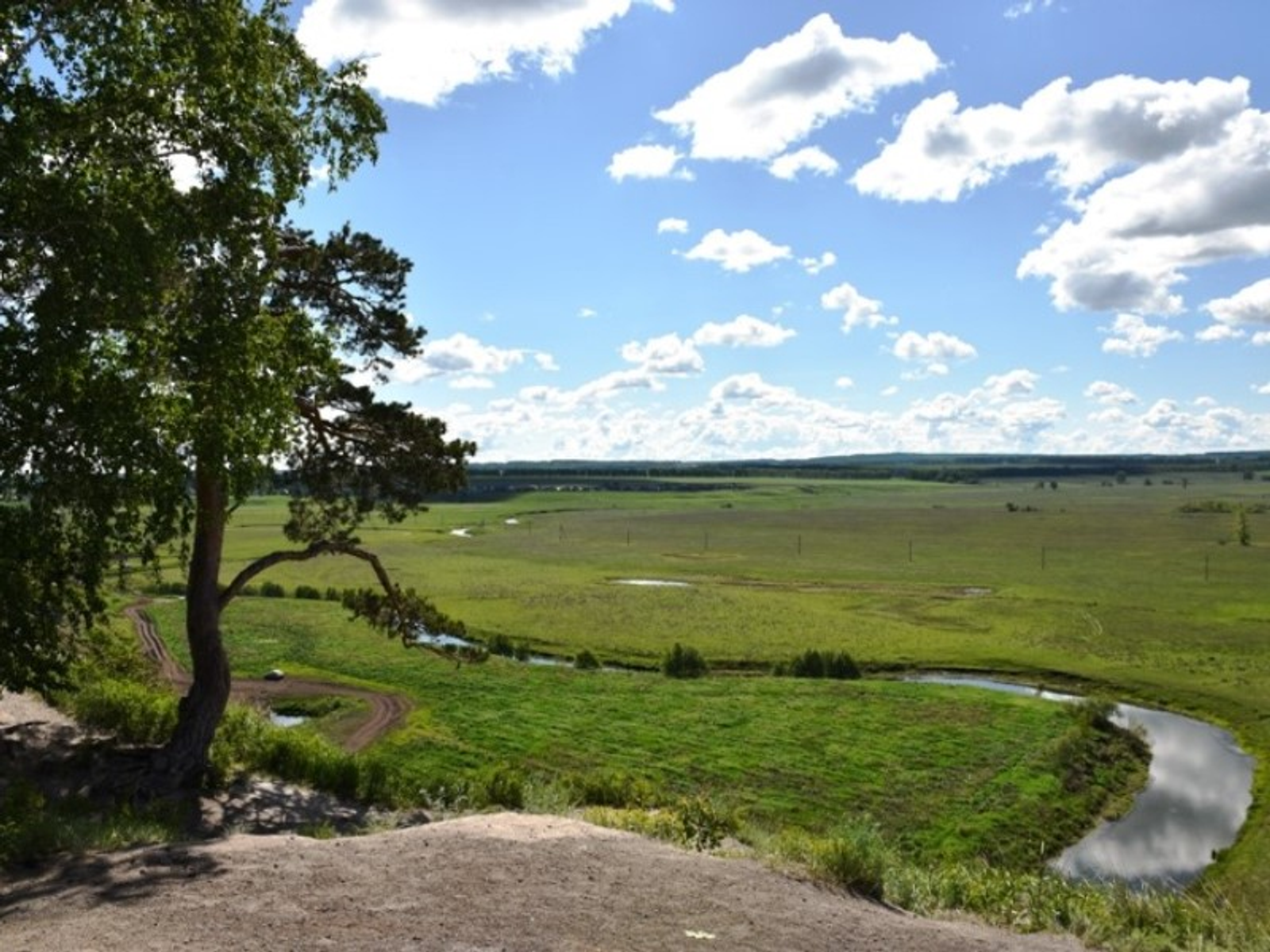 Фото Елены Колоколовой.