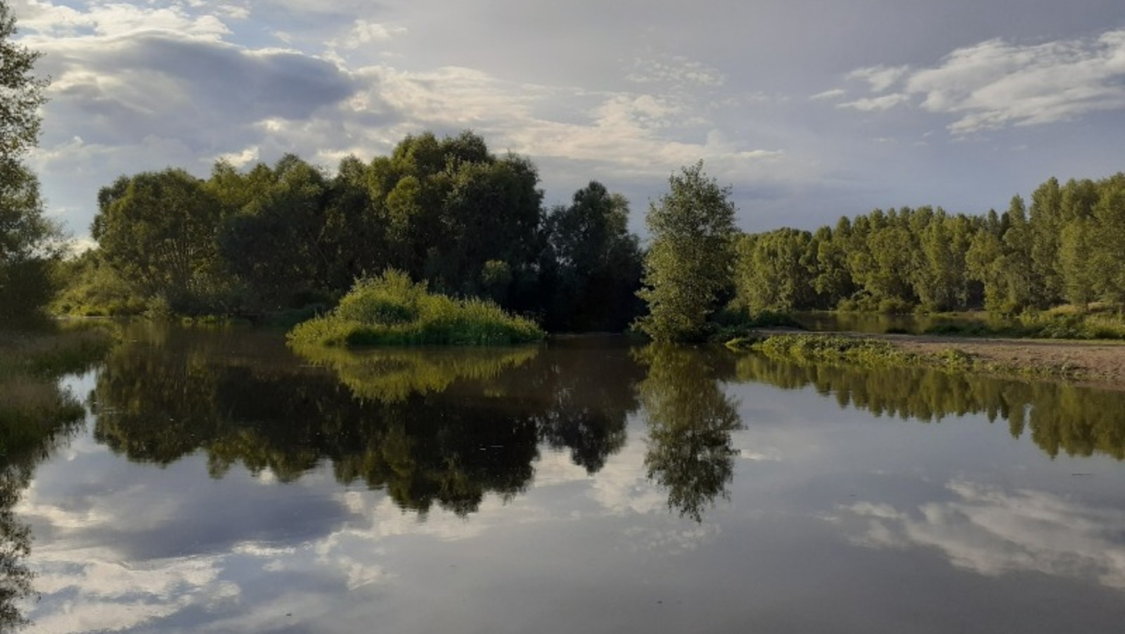 Владимира Шакиева.