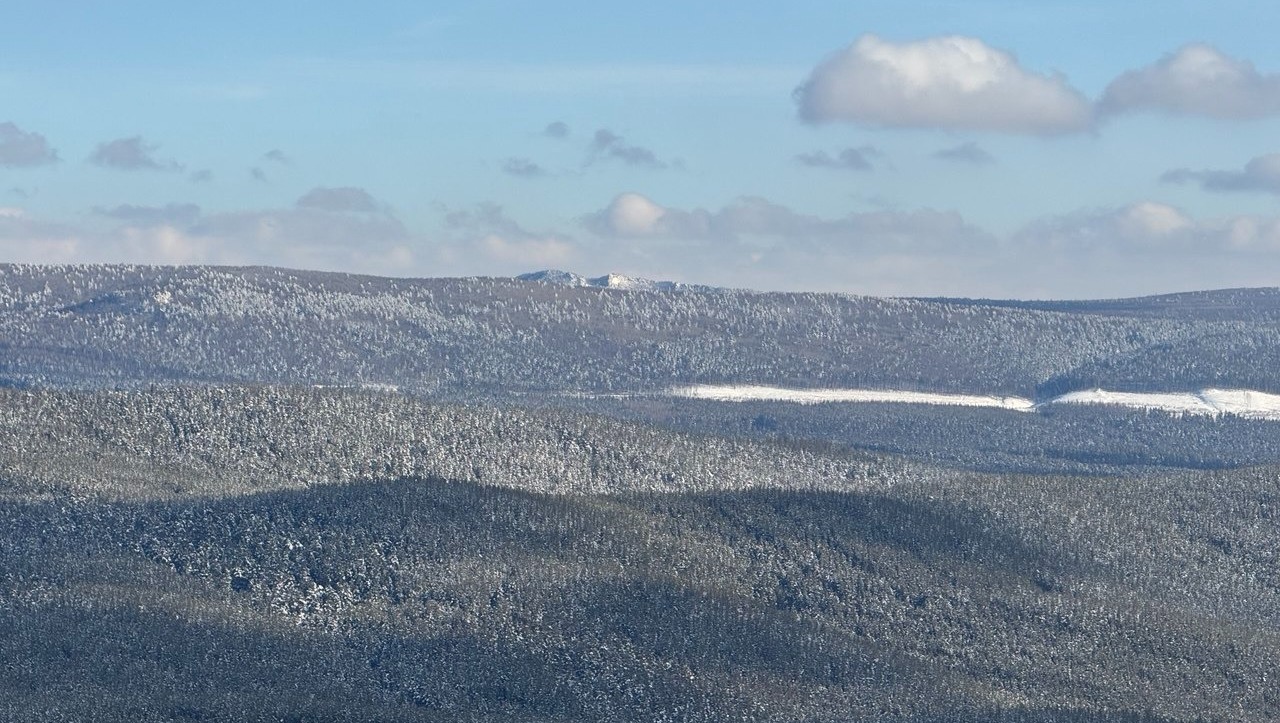 Елены Колоколовой. «Общественная электронная газета».
