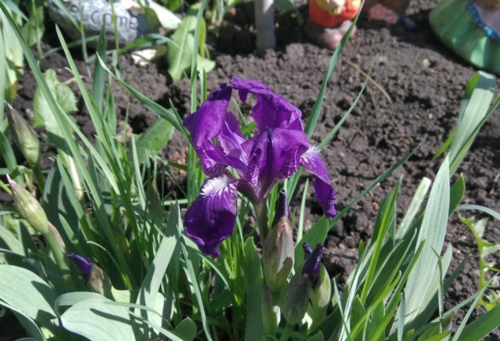 Фото Васили Саитовой.