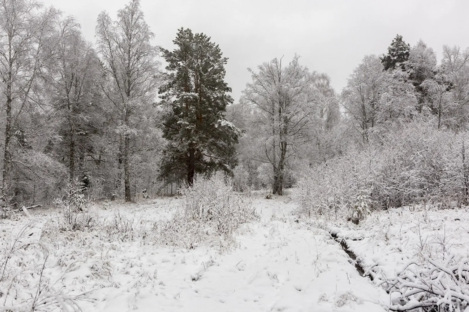 Фото Фаиля Абсатарова.