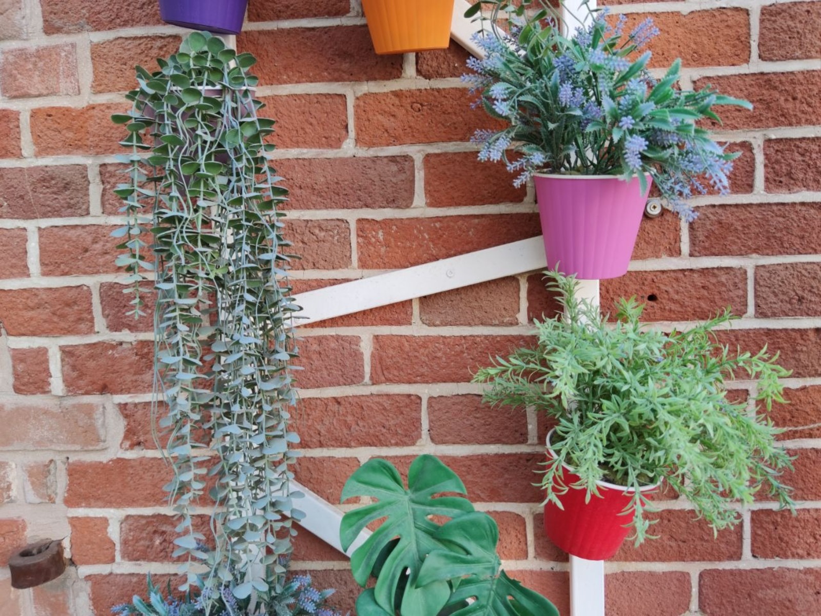 Дарьи Святохиной.