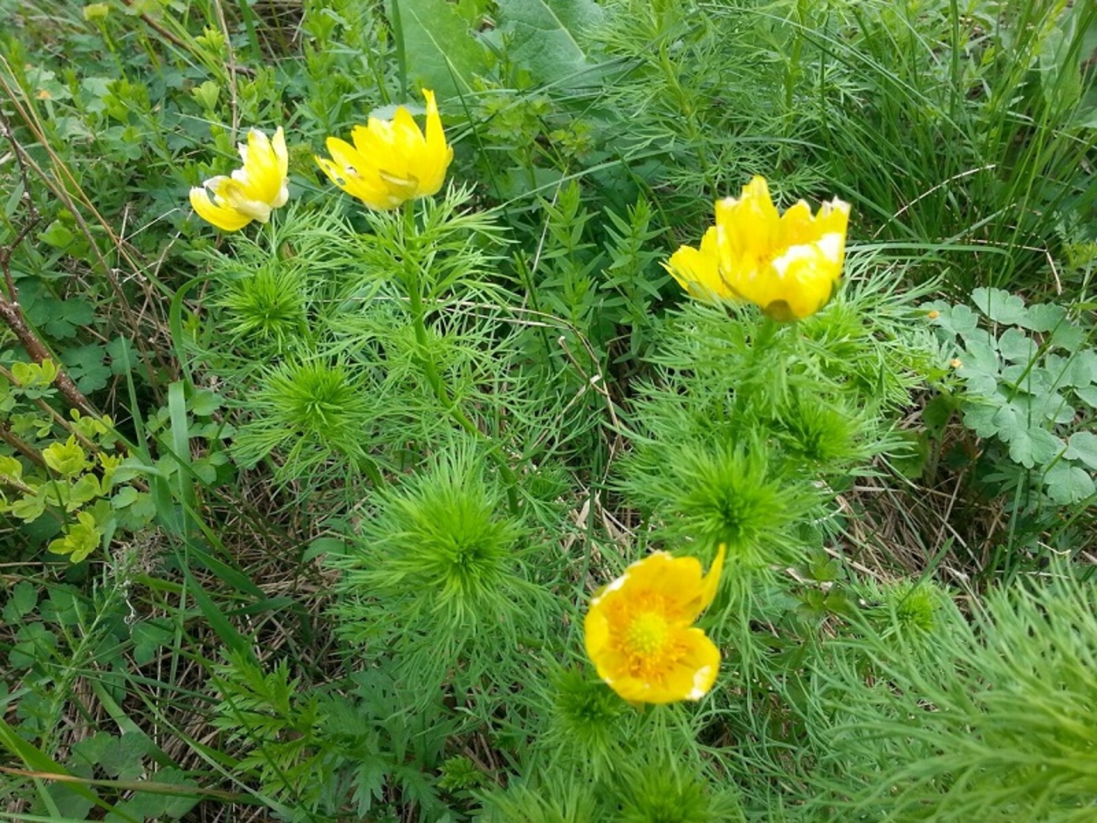 Фото автора.