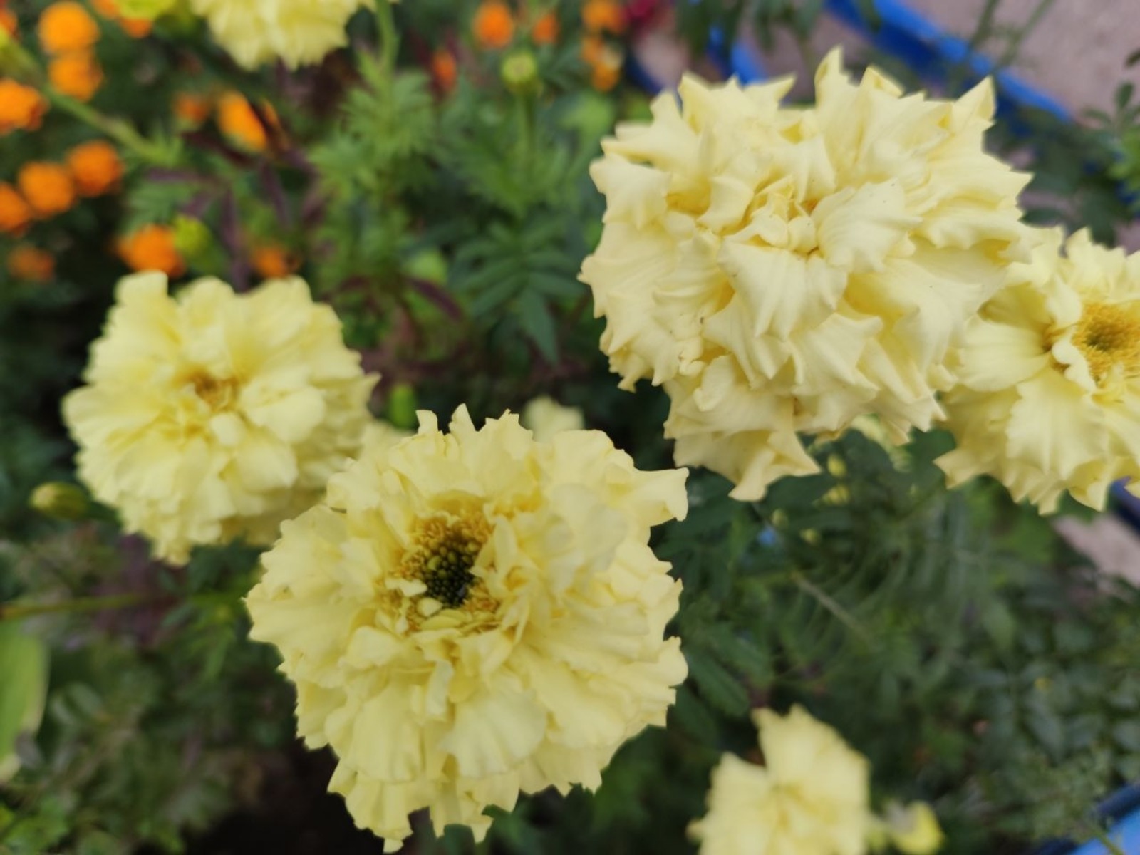 Дарьи Святохиной.