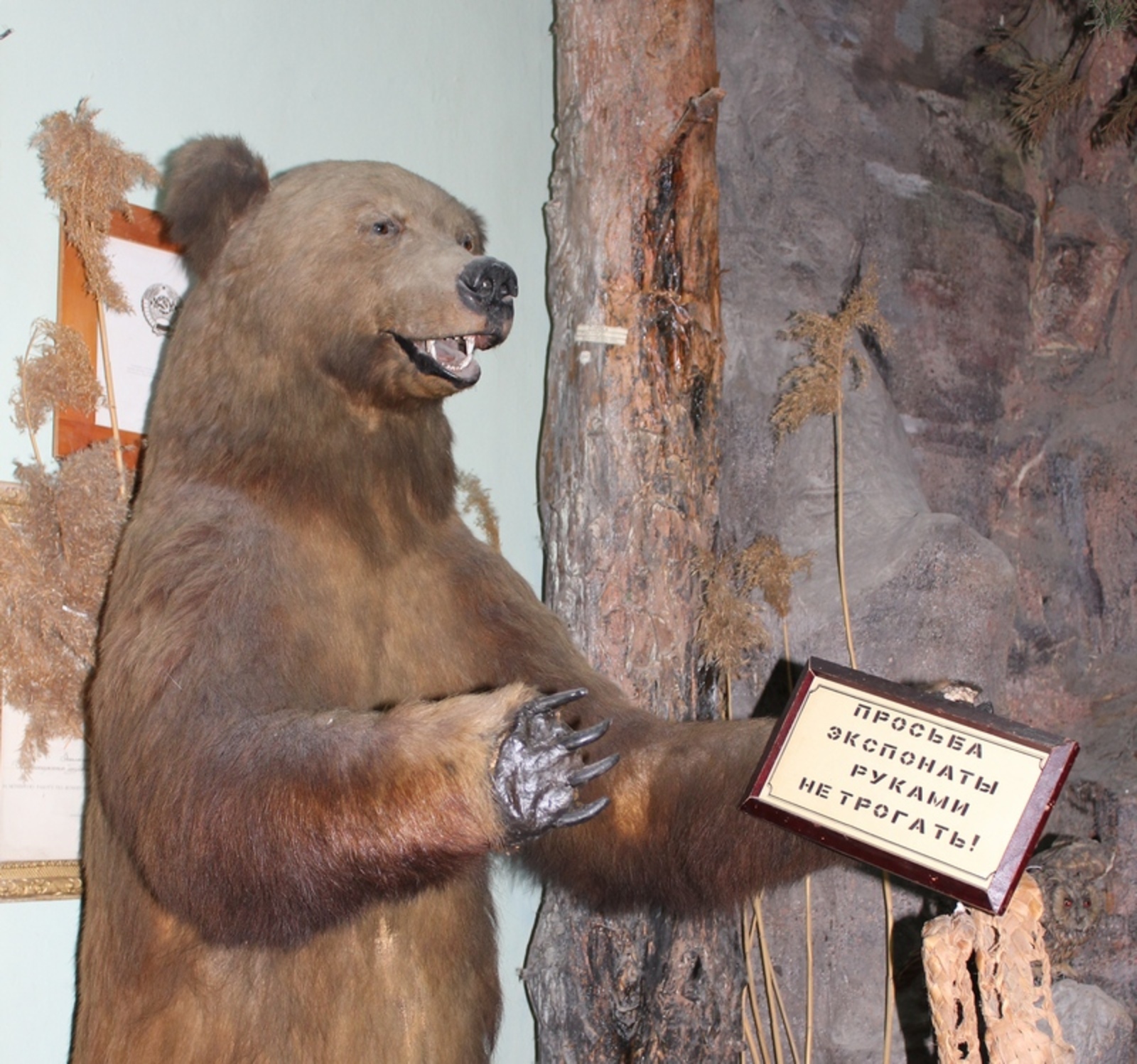 Фото Евгении Сюткиной.