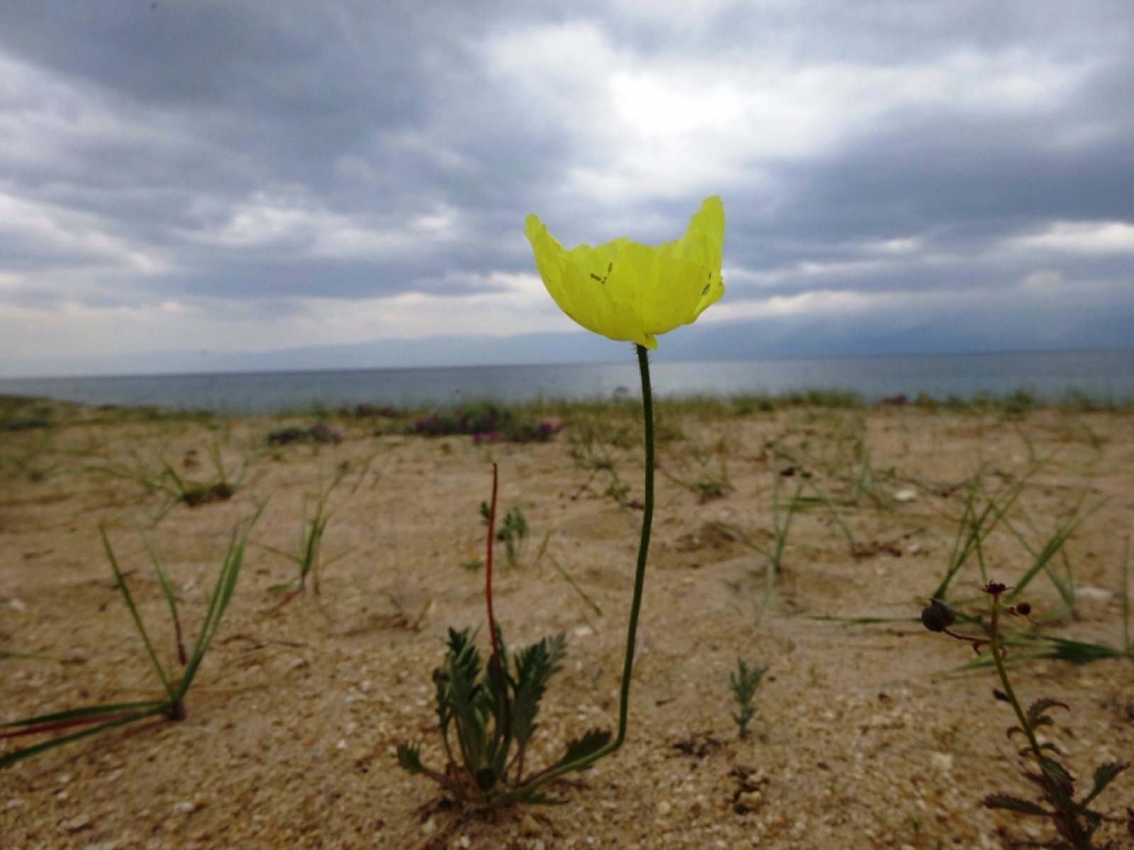 Фото автора.